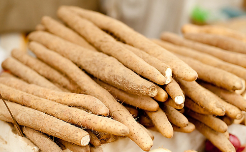 山藥采購價(jià)格(圖1)